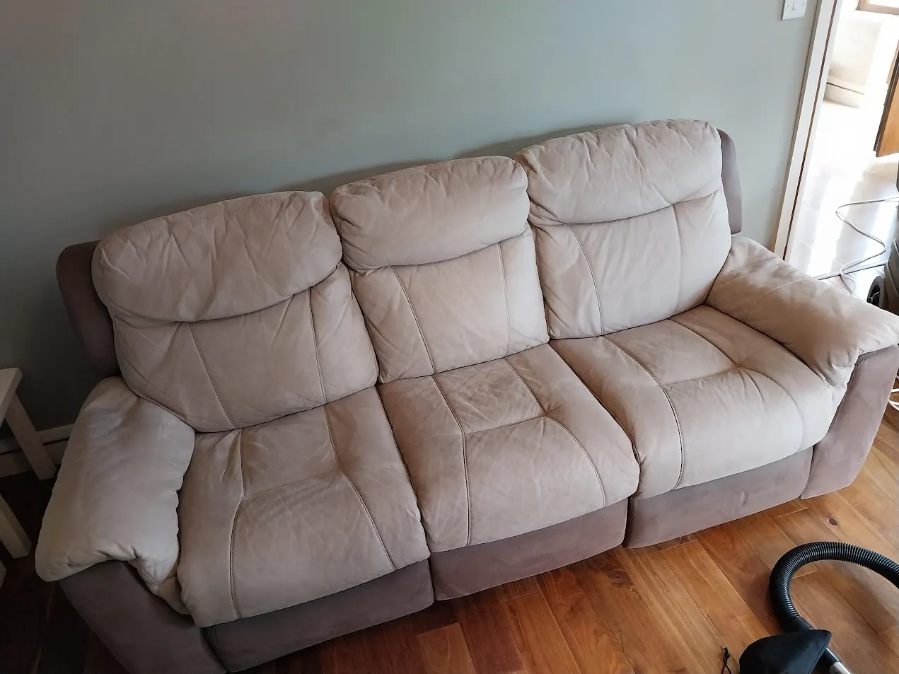 Bio Bliss Solutions leather sofa cleaning