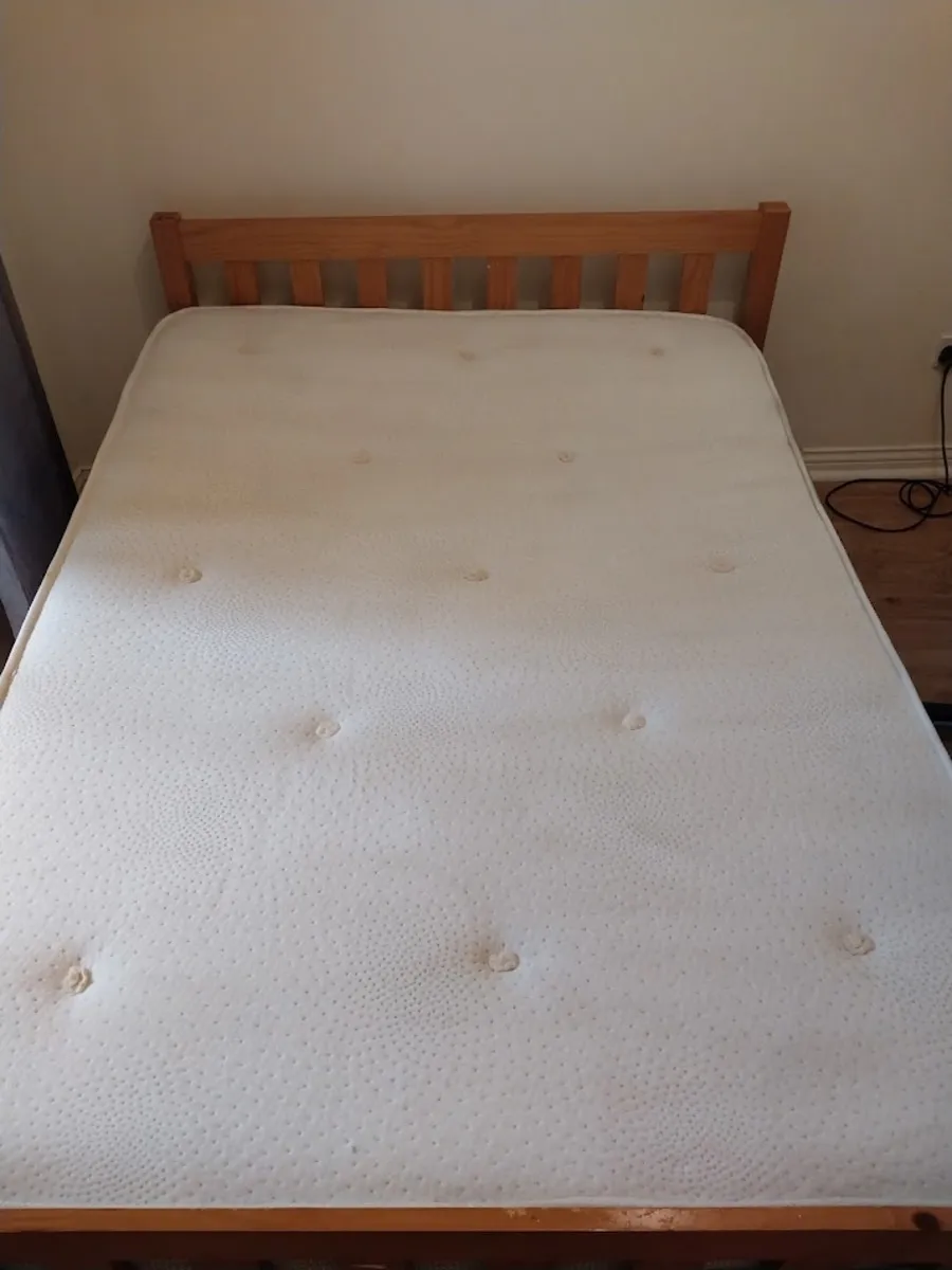 Bio Bliss Solutions mattress cleaning