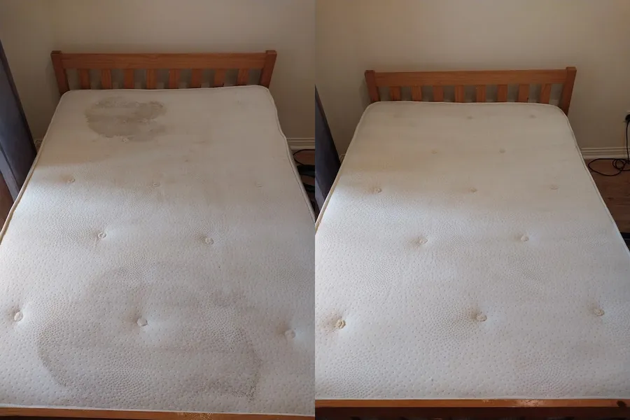 Bio Bliss Solutions professional mattress cleaning