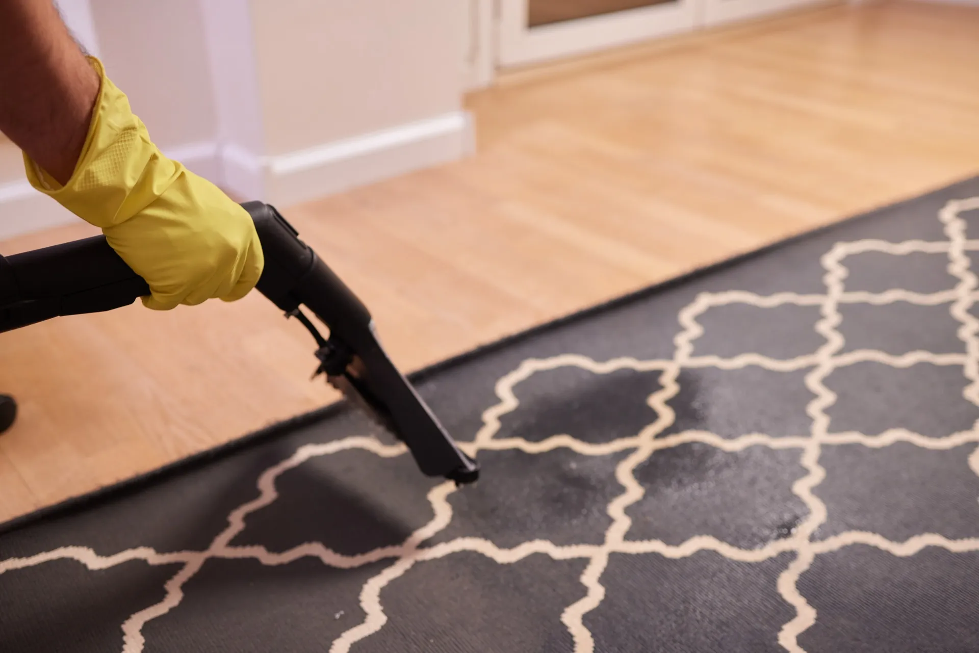 Bio Bliss Solutions professional carpet and rug cleaning service